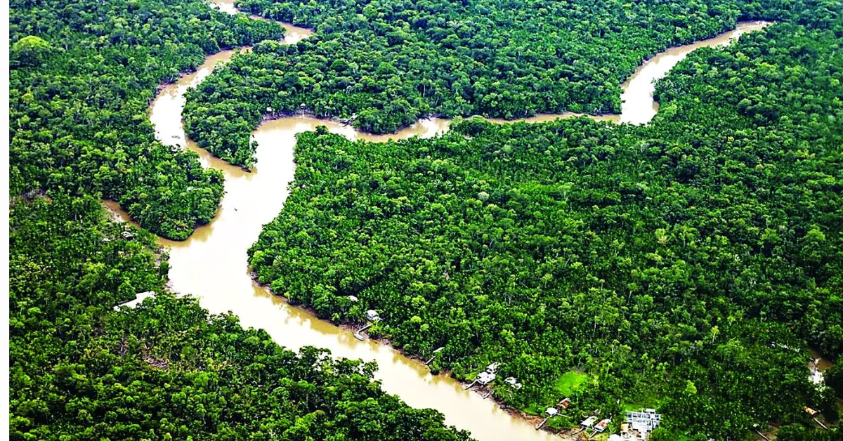 Estado registrou, entre agosto de 2024 e julho de 2025, a menor área recoberta por alertas de desmatamento da década, com 1.325 km²