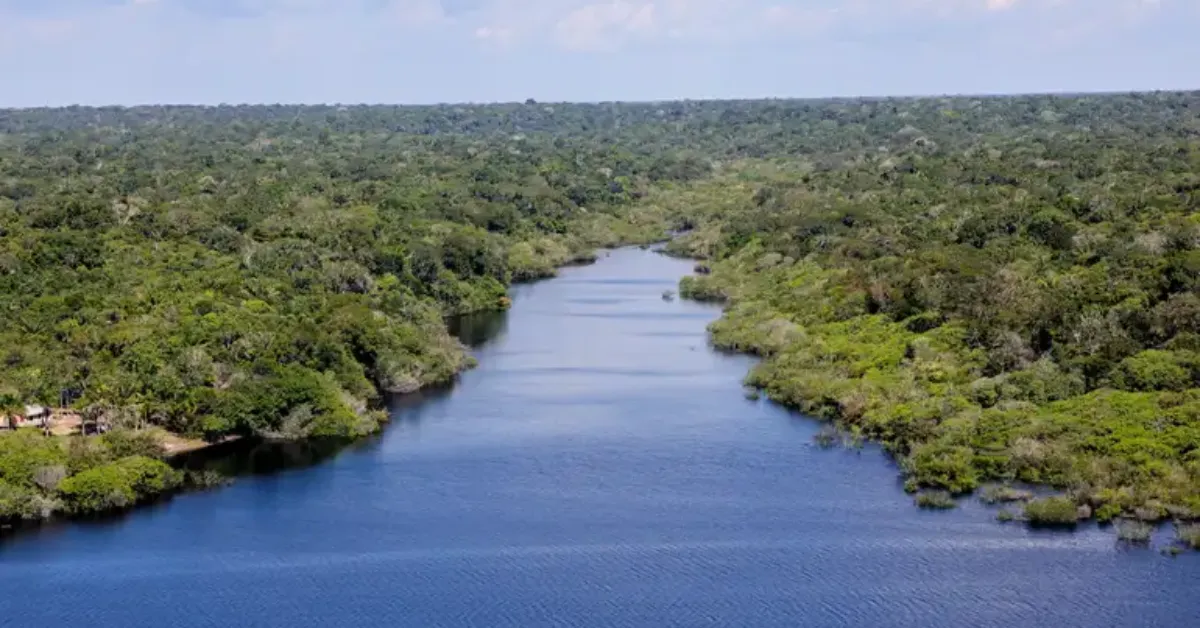 O Encontro de Cinema Amazônia Caribe reúne produtores e realizadores em um espaço de troca e protagonismo compartilhado.