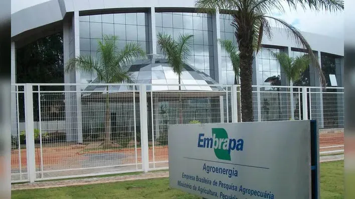 Embrapa promove capacitação