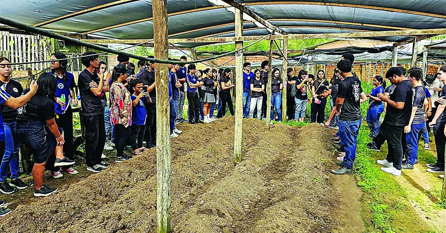 Os projetos desenvolvidos pelas escolas criam soluções criativas para o desenvolvimento sustentável