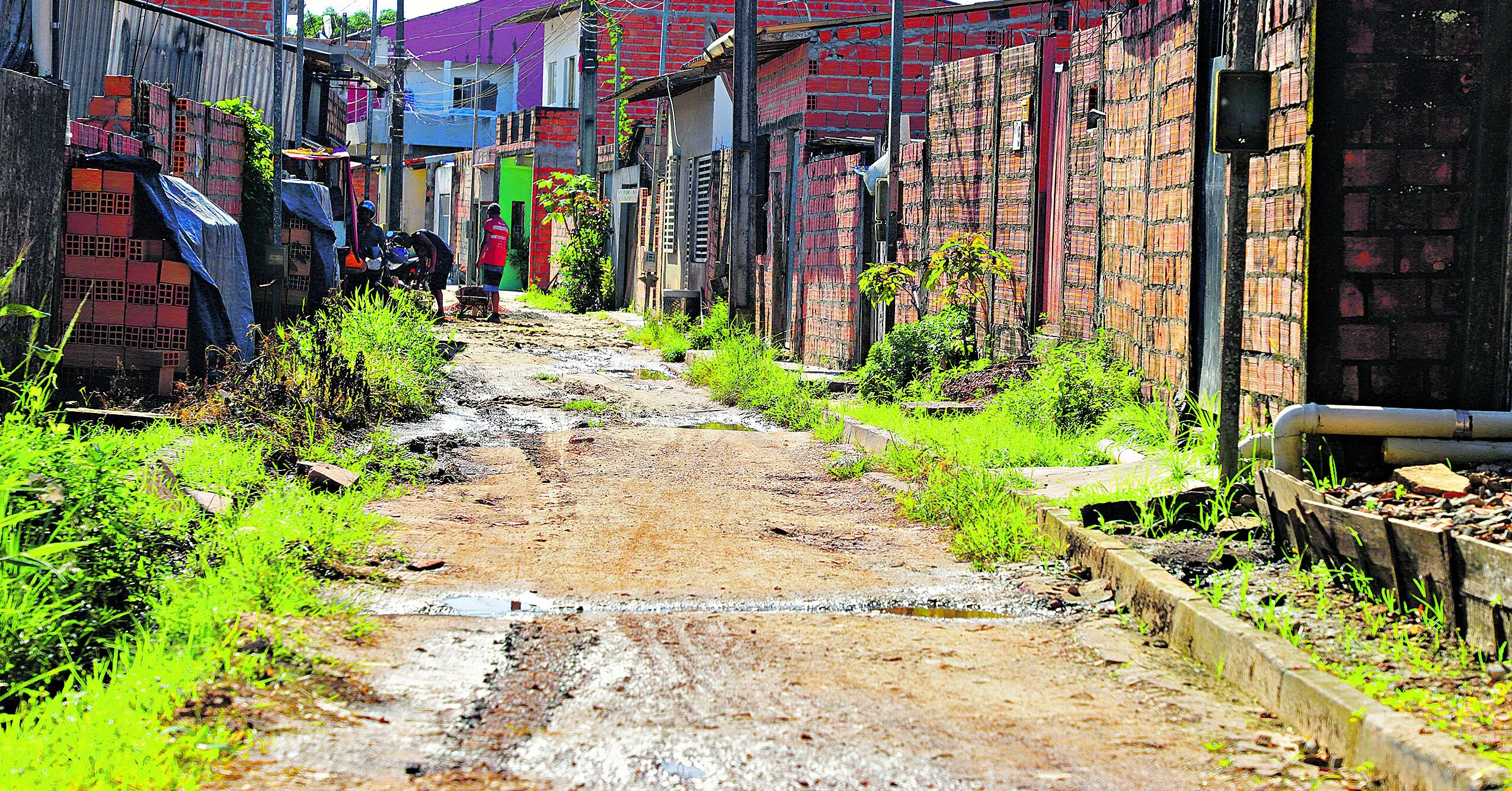 Vias sem asfalto e com mato dificultam a circulação dos moradores da comunidade Jardim Vitória