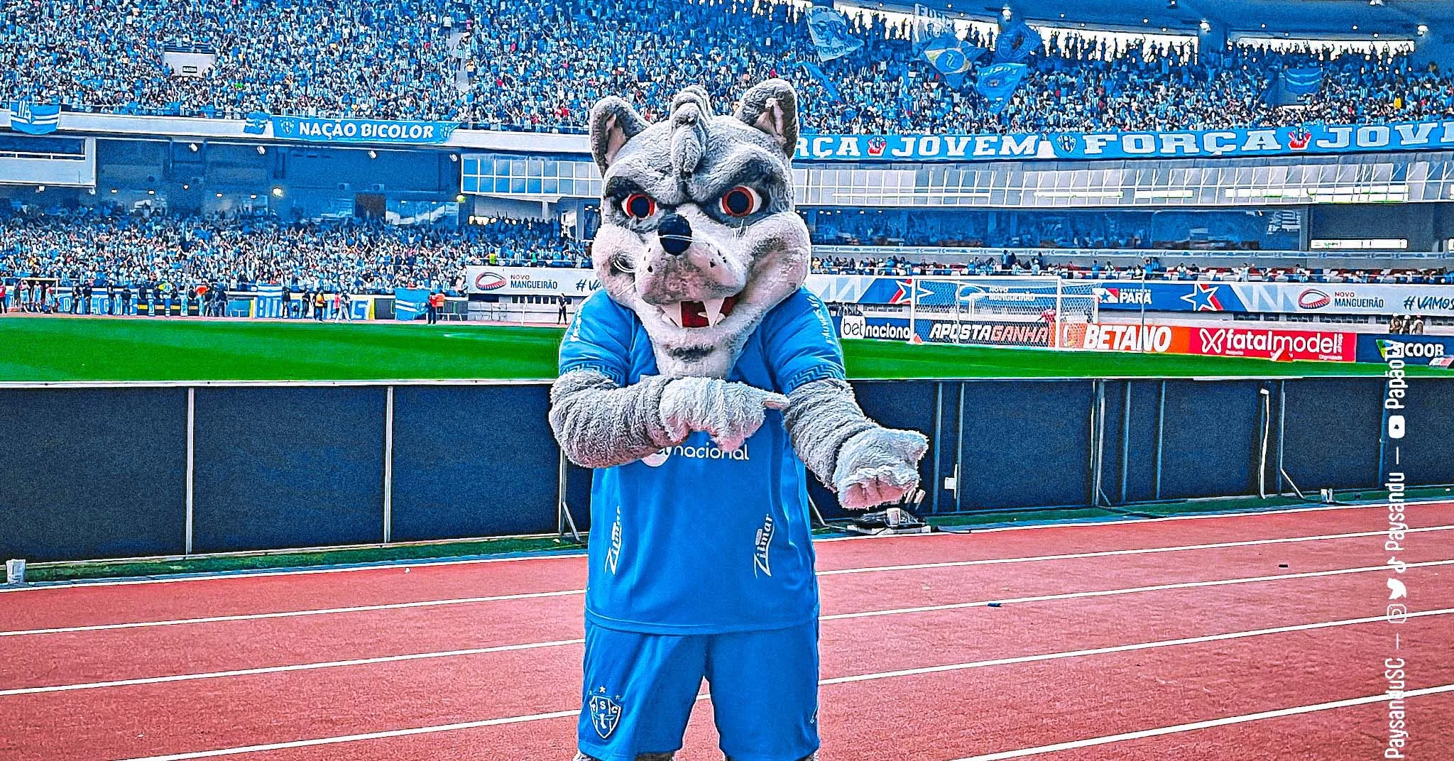 Lobo quer raça em campo