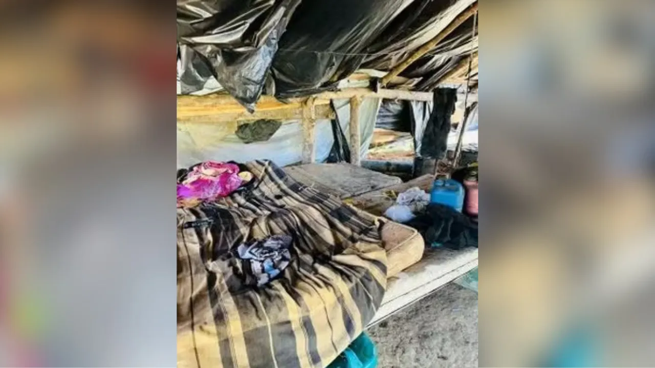 O resgate em Cumaru do Norte, no sul do Pará, foi divulgado nesta segunda-feira (7) e ocorreu em operação conjunta realizada por uma semana, entre 30 de junho e este domingo (6)