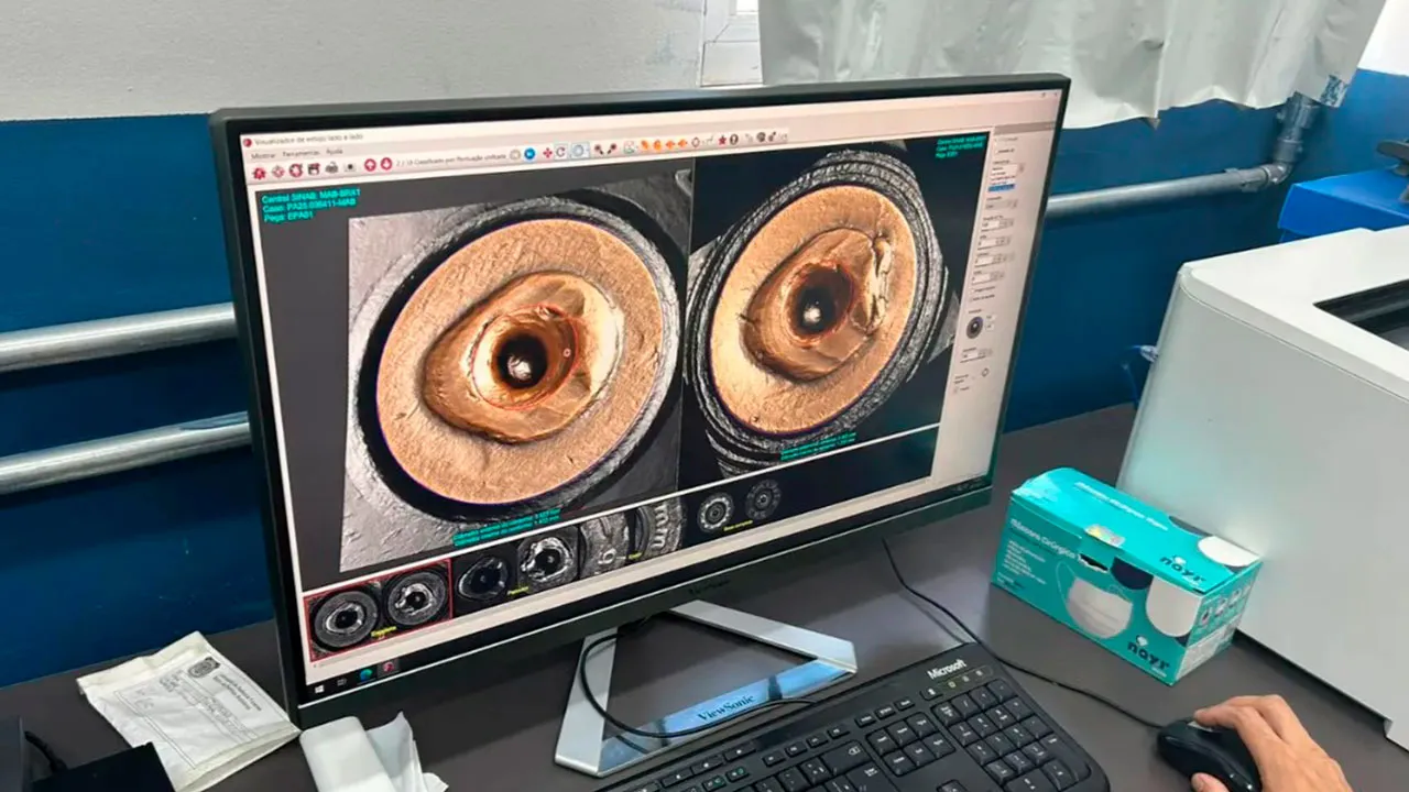 O Pará foi o primeiro Estado da Região Norte onde o Sinab foi implantado, com mais cinco Estados.
