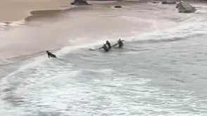 Surfistas salvam adolescente na praia