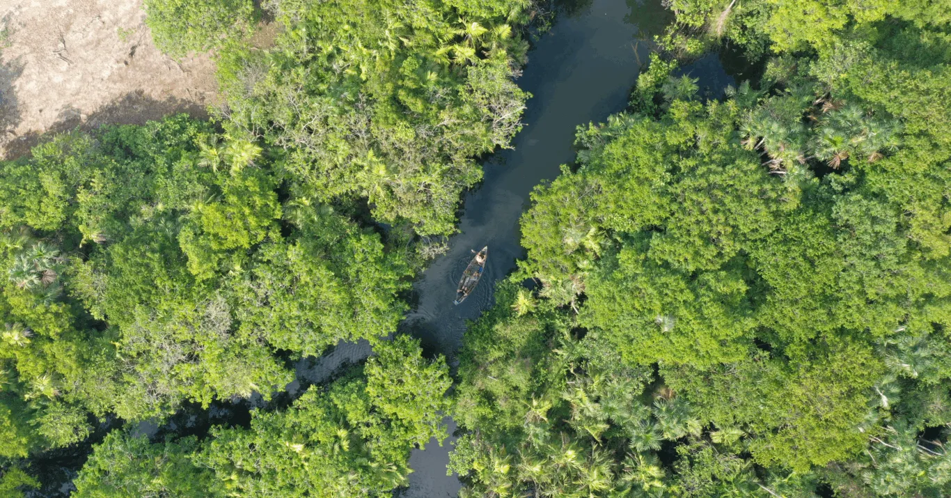 Para quem se interessa por um tipo de turismo que garanta uma maior conexão com a natureza, não faltam opções de unidades de conservação para visitar no Pará.
