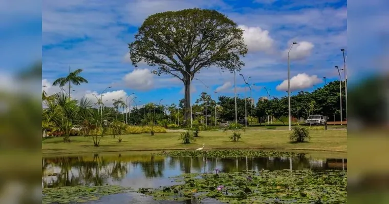Corrida das Águas: evento será realizado no dia 29 de junho, às 6h, no Parque Estadual do Utinga, em Belém. Veja como se inscrever!