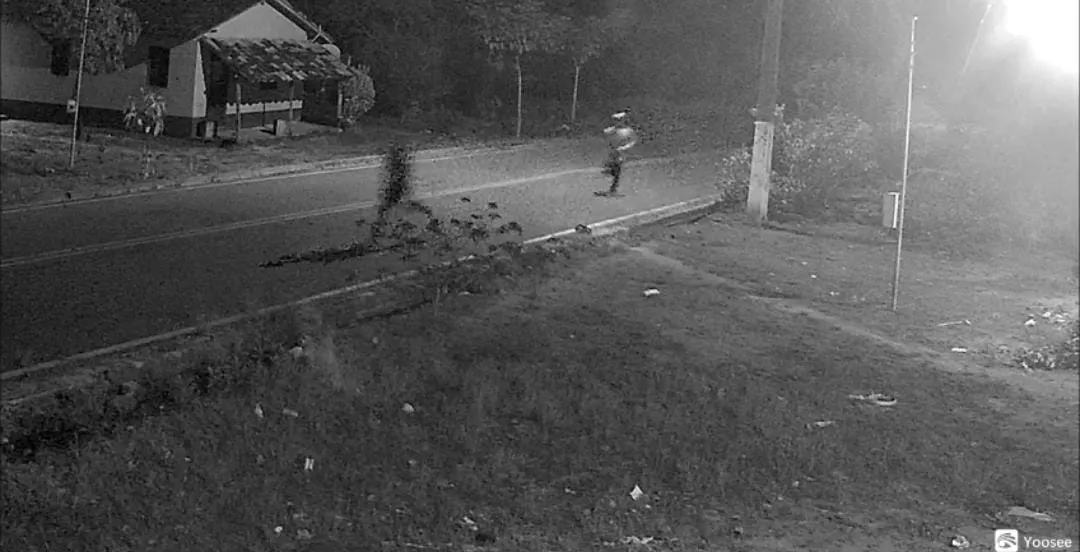 Na zona rural do município de Bragança, região do nordeste paraense, um idoso foi morto com um tiro no peito