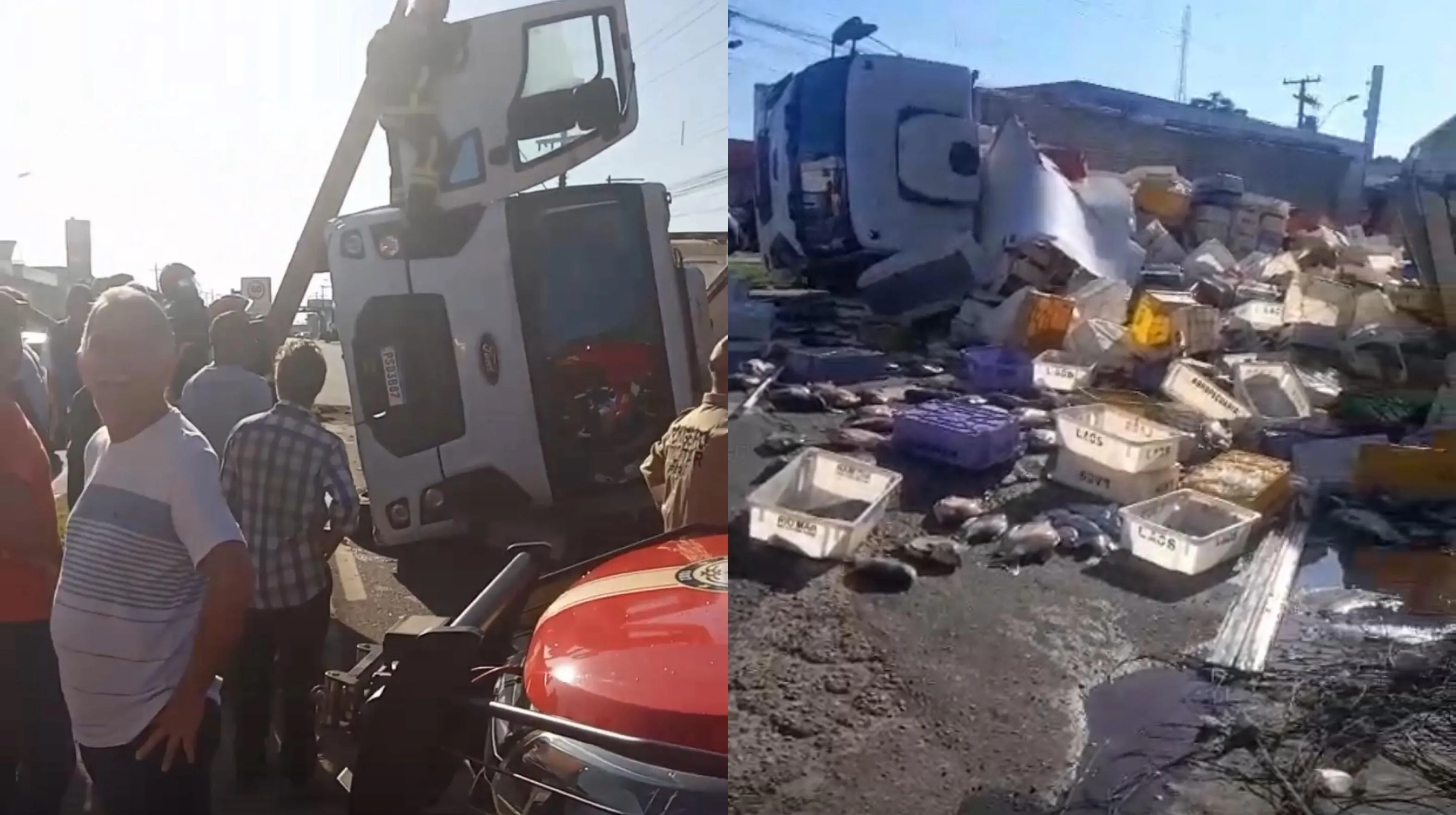 Um caminhão carregado de peixe tombou na BR-316, em Castanhal, causando lentidão no trânsito. Veja detalhes sobre o acidente e a resposta das autoridades.