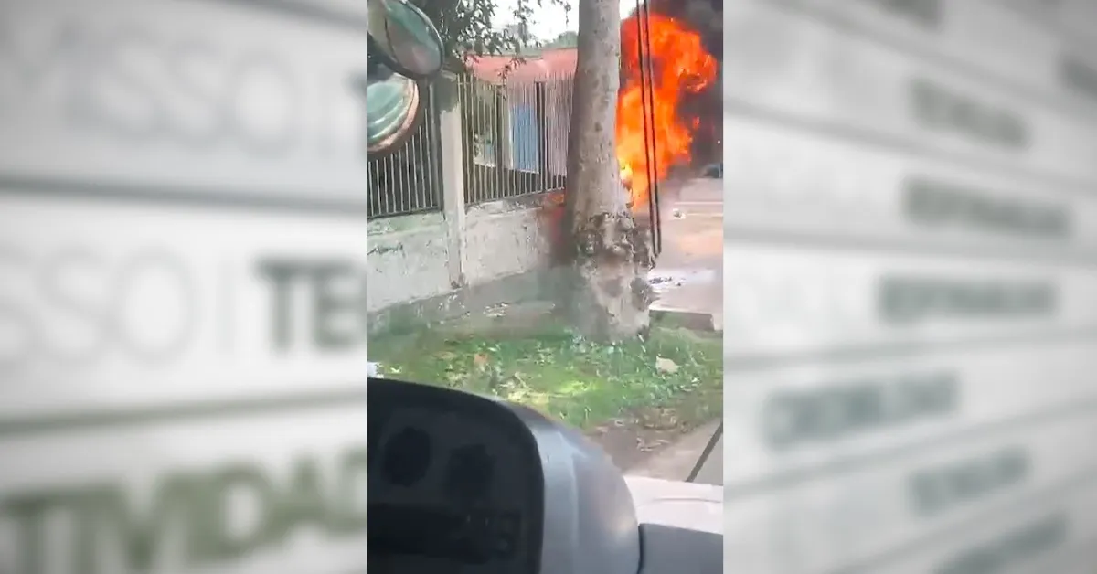 Até o momento não se sabe se o fogo foi provocado por alguma pessoa ou por outros motivos.