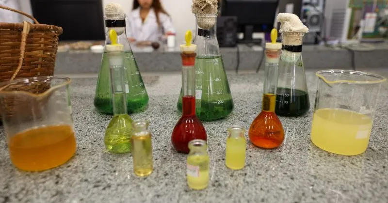 Um diferencial importante é a integração com os laboratórios do PCT Guamá, que fornecem suporte técnico-científico para o desenvolvimento de produtos e serviços baseados em ciência e tecnologia.