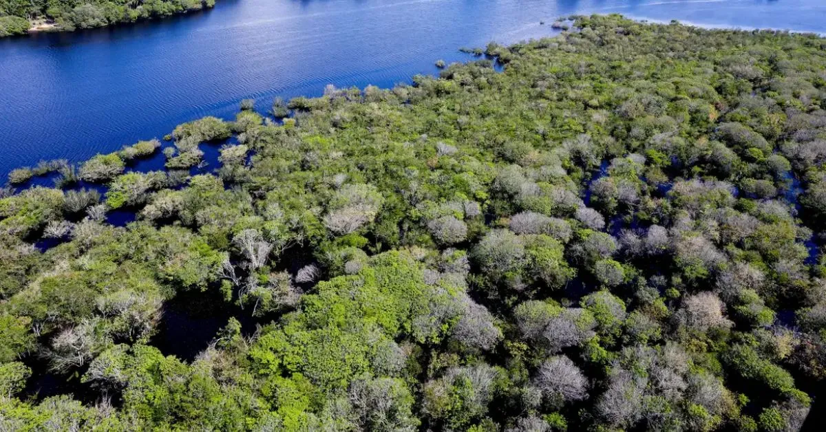 Parceria também possibilitará ações locais de promoção à participação cidadã e à liderança