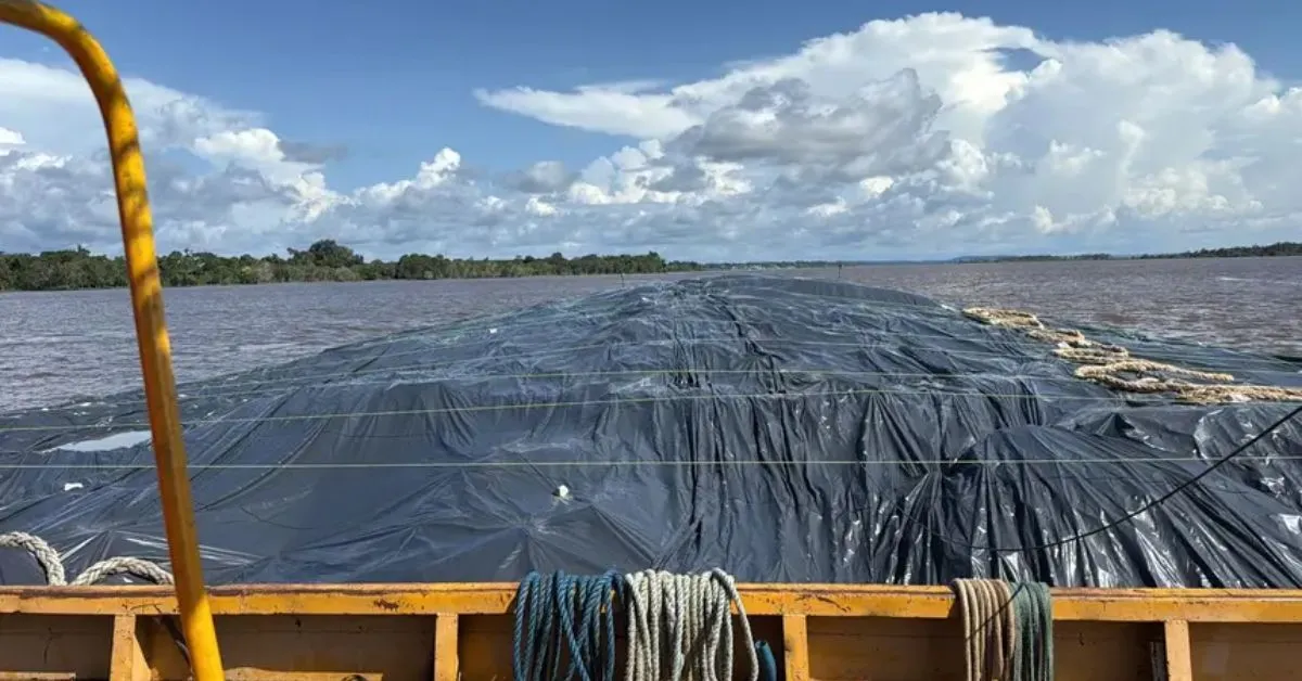 Ações aconteceram no Rio Amazonas, na Região do Tapajós, e em estrada na Região do Carajás