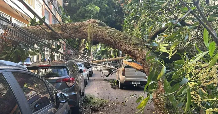 Em nota enviada à equipe do DOL, a Equatorial Pará já havia informado que as equipes trabalhavam no local para normalizar a situação o quanto antes, além de evitar maiores transtornos com a chegada da noite.
