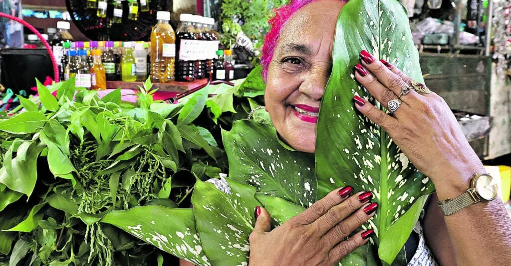 Projeto de lei declara as "Erveiras do Mercado do Ver-o-Peso" como Patrimônio Cultural de Natureza Imaterial do Estado do Pará.