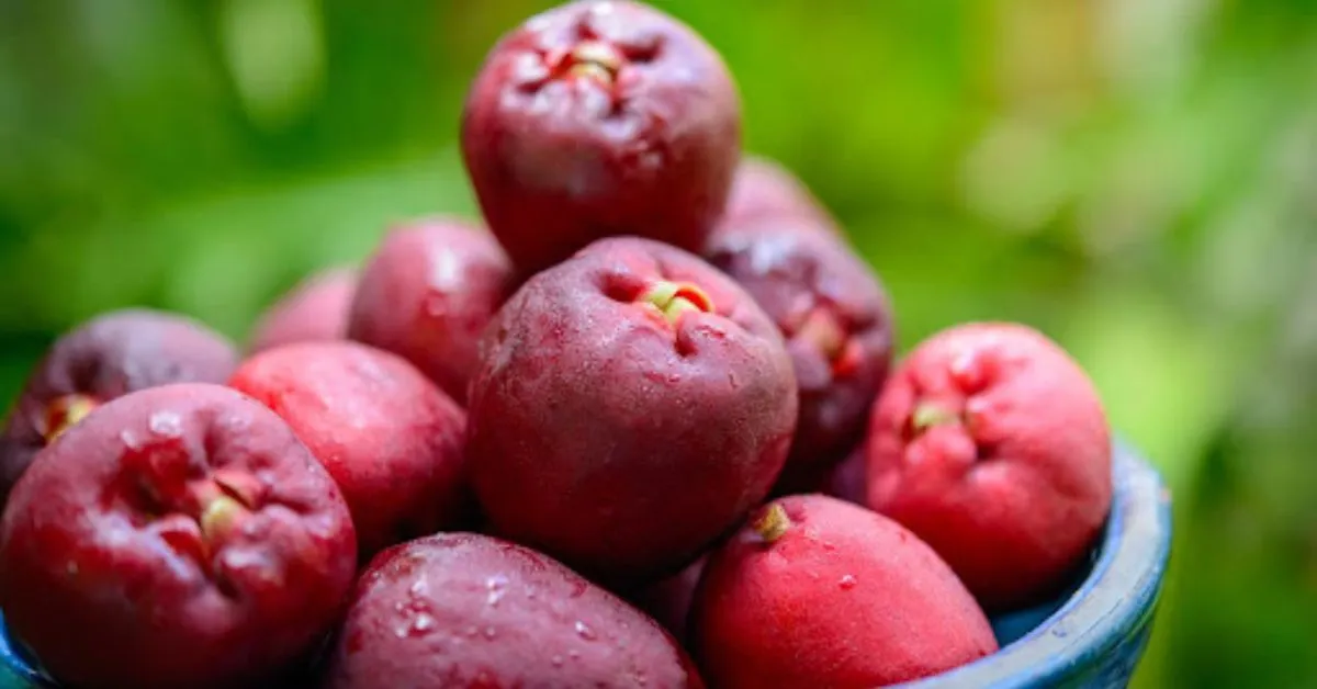 Na alimentação, essa fruta pode ser utilizada em saladas, molhos e marinadas.