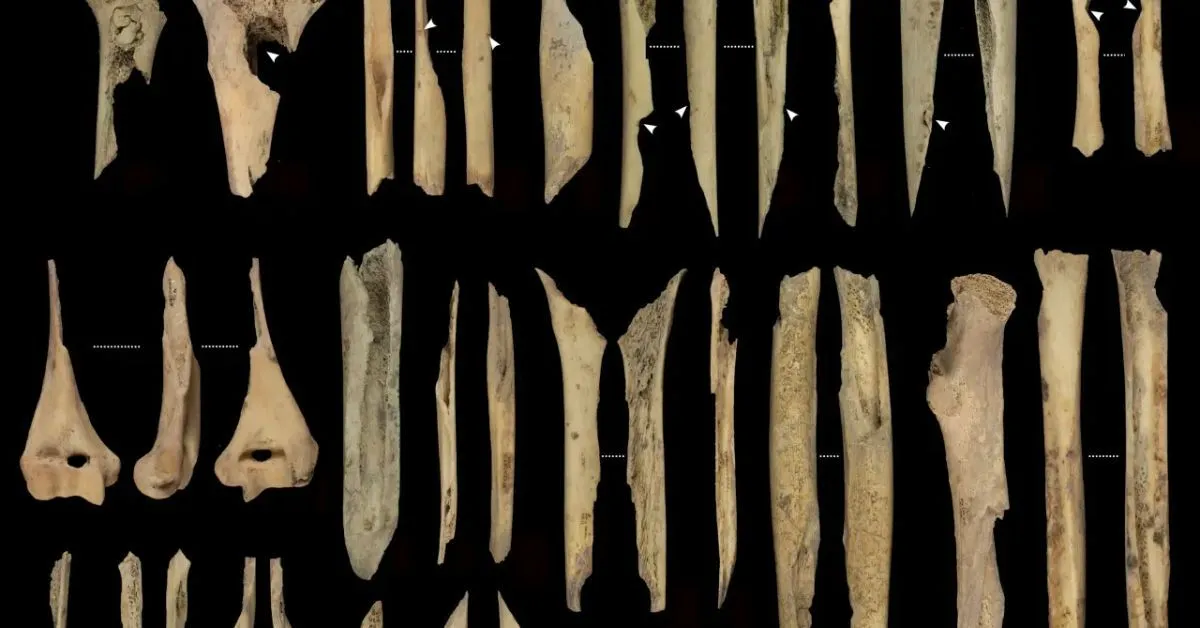 Fósseis humanos com marcas de cortes, cremação e mordidas foram encontrados em caverna na região de Atapuerca, indicando prática isolada de antropofagia no período Neolítico.