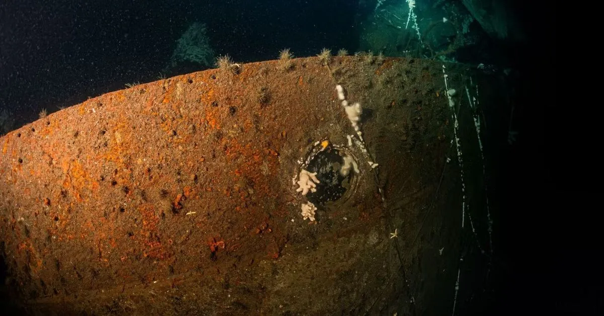 O carimbo de identificação, as dimensões, os equipamentos a bordo e a destruição do barco correspondiam exatamente àqueles da Marinha Britânica.