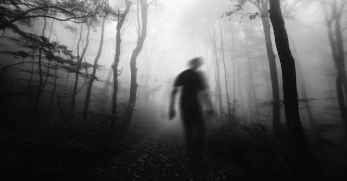 Lendas urbanas, mitos, relatos de visagens e encantarias seguem vivos na cultura popular de Belém e revelam um imaginário coletivo misterioso.