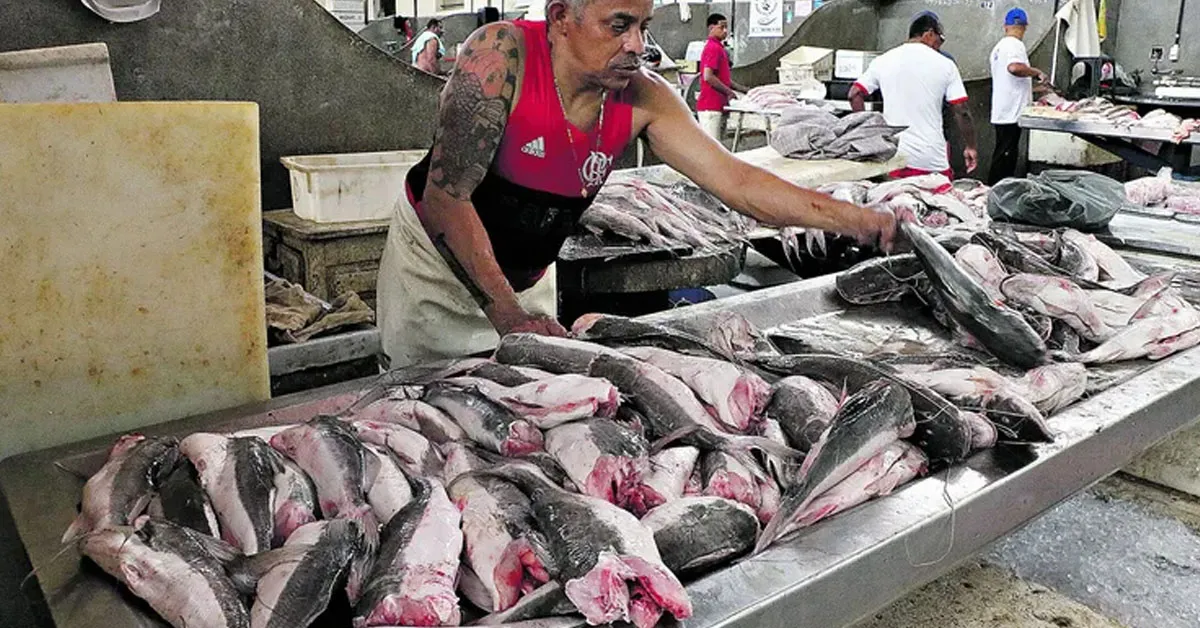 Terreno no Tapanã pode substituir a Pedra do Peixe e mudar a pesca em Belém. Veja mais detalhes na coluna de Mauro Bonna.