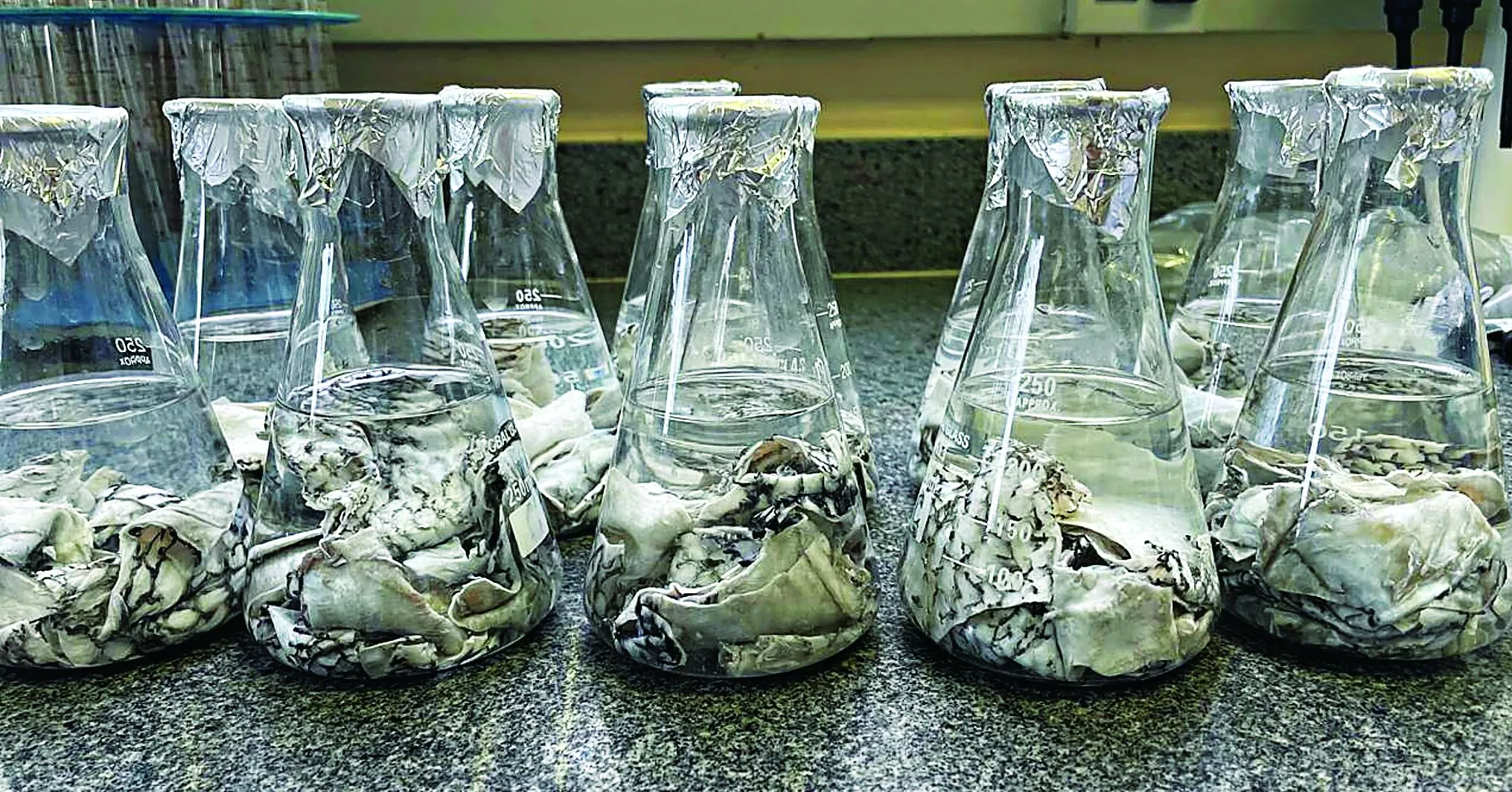 As matérias-primas utilizadas são principalmente as proteínas miofibrilares e a gelatina extraídas do músculo e das peles de peixes.