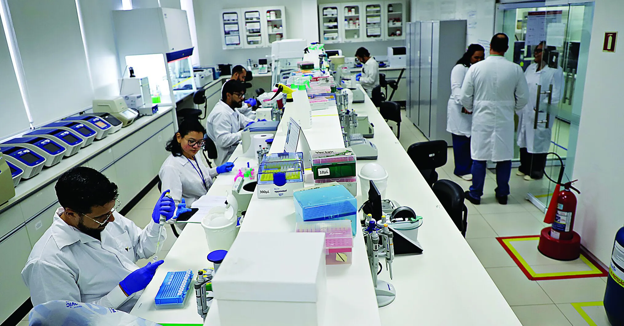 Trabalho de pesquisa do Projeto Genômica da Biodiversidade Brasileira (GBB)