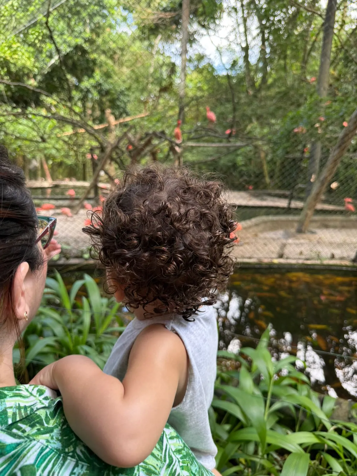 Confira 5  passeios ao ar livre para fazer com as crianças na Grande Belém.