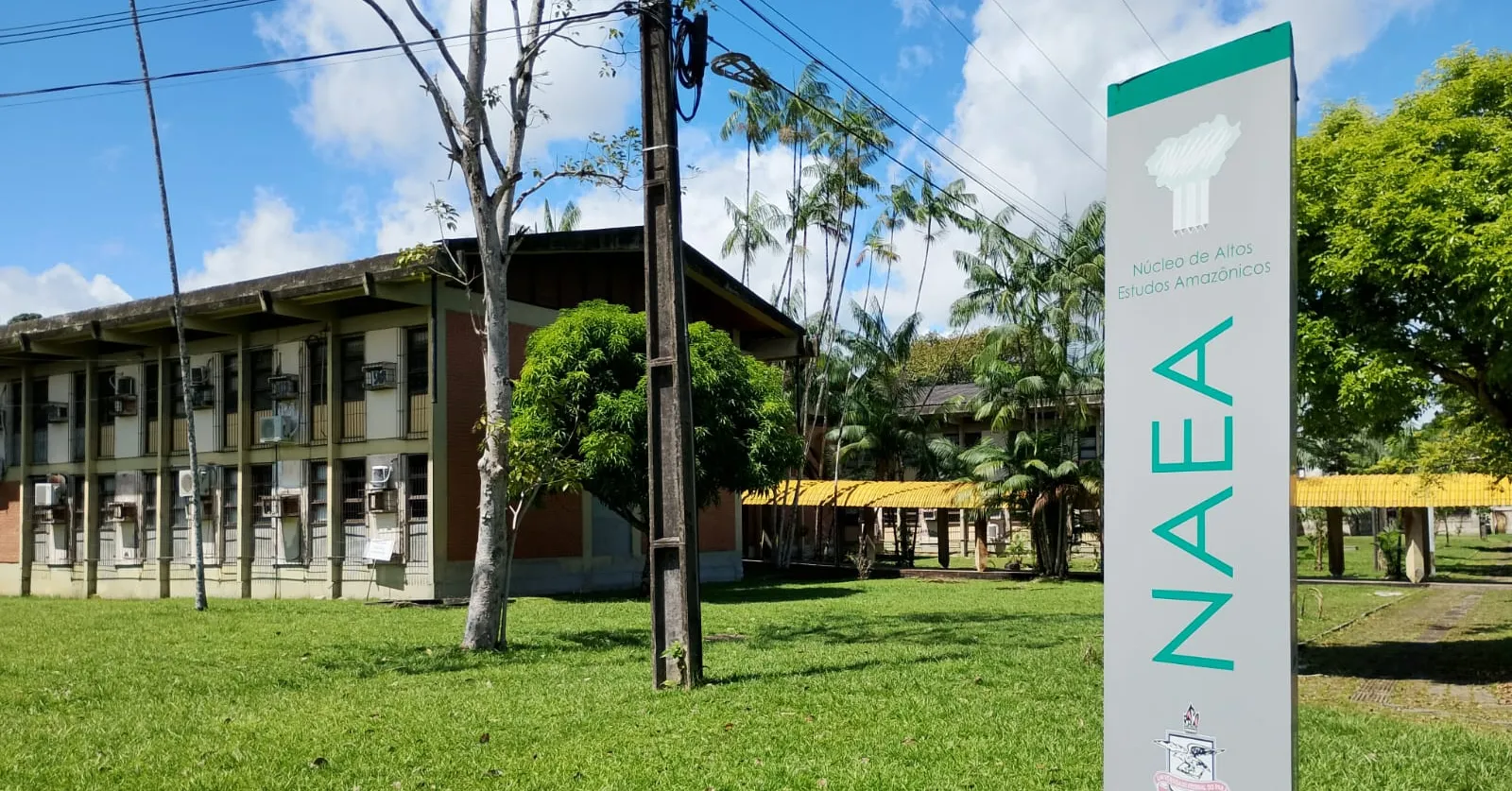 A oficina representa uma oportunidade única para a comunidade paraense conhecer e vivenciar uma metodologia internacional de educação climática, contribuindo para a formação de multiplicadores conscientes sobre a urgência das questões ambientais na Amazônia e no mundo.