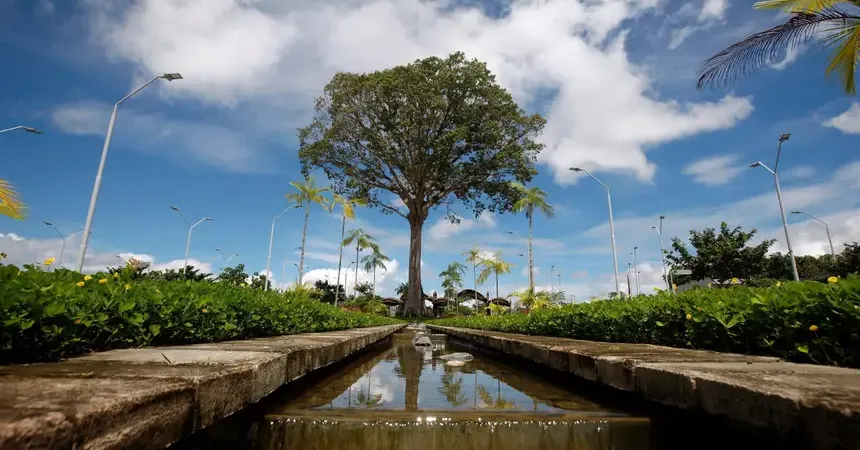 Ao todo, serão ofertadas 20 vagas, com atuação no parque estadual prevista entre os dias 18 de agosto de 2025 e 18 de agosto de 2026.