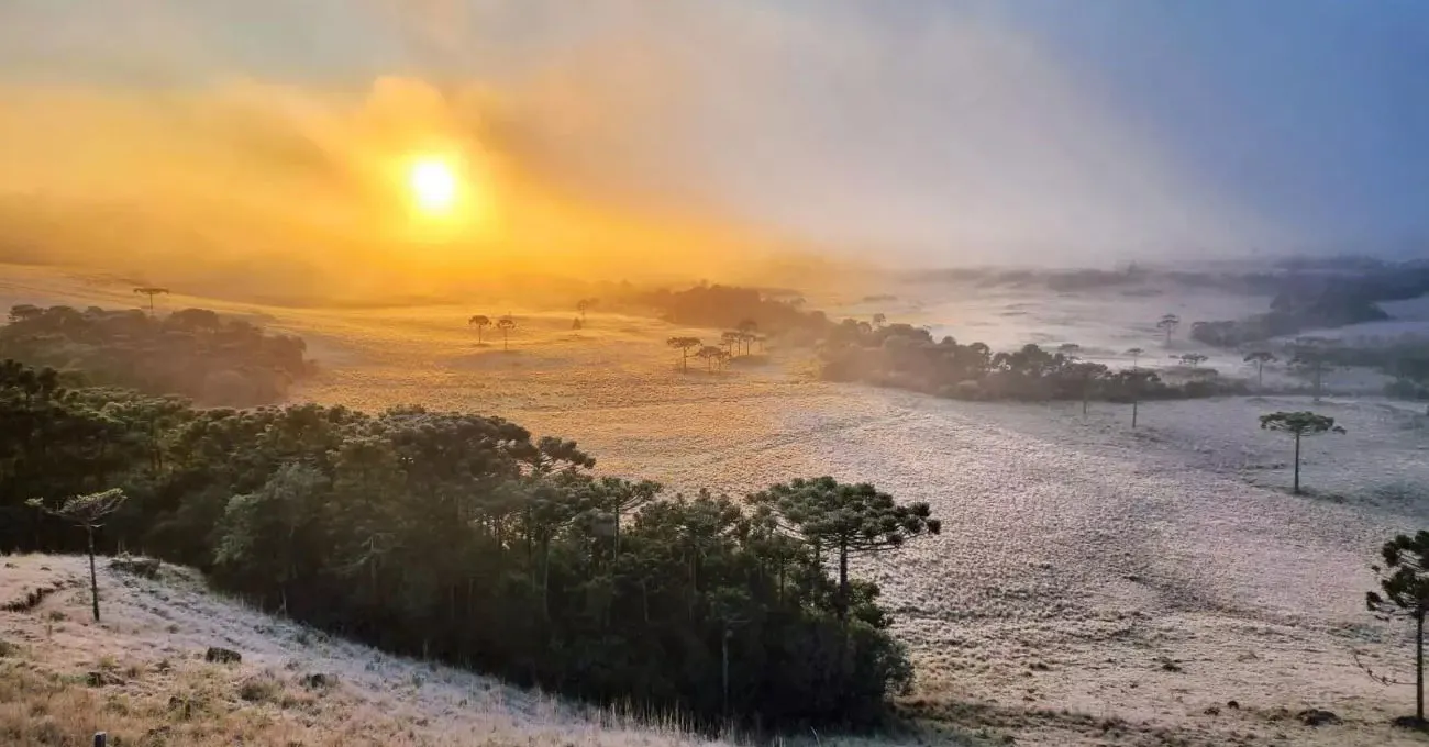 Termômetros em São Joaquim, na Serra Catarinense, marcaram impressionantes -6,5°C na última quarta-feira (11).