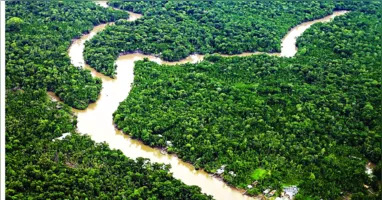 Estado registrou, entre agosto de 2024 e julho de 2025, a menor área recoberta por alertas de desmatamento da década, com 1.325 km²