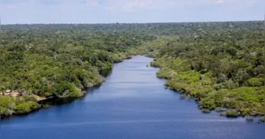 O Encontro de Cinema Amazônia Caribe reúne produtores e realizadores em um espaço de troca e protagonismo compartilhado.