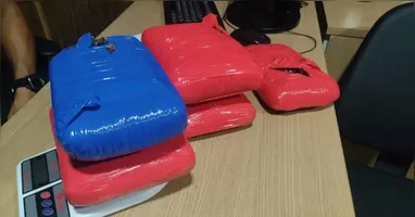 Drogas foram encontradas com o apoio de cão farejador