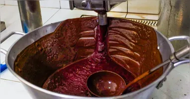 A programação do festival inclui a presença de mais de 500 batedores de açaí, oriundos de diferentes regiões do Pará