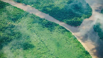 Ações estaduais conseguem reduzir queimadas