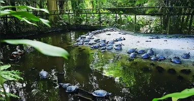 Parque Zoobotânico do Museu Paraense Emílio Goeldi