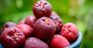 Na alimentação, essa fruta pode ser utilizada em saladas, molhos e marinadas.