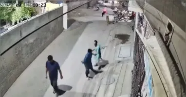O Leão pulou o muro de uma casa e atacou as vítimas na rua.