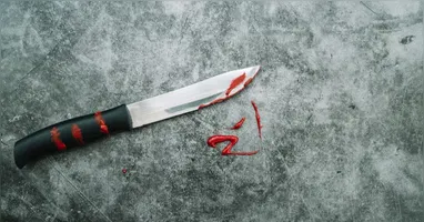 Um casal de idosos foi assassinado em Óbidos, Pará, em um crime brutal. O principal suspeito é um vizinho, e a polícia investiga as circunstâncias do caso.
