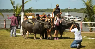 A COP 30 deve atrair ainda mais a atenção internacional para os atrativos naturais e as iniciativas de sustentabilidade no Pará.