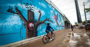 Novo viaduto em Ananindeua une mobilidade e arte com mural inspirado na Amazônia.