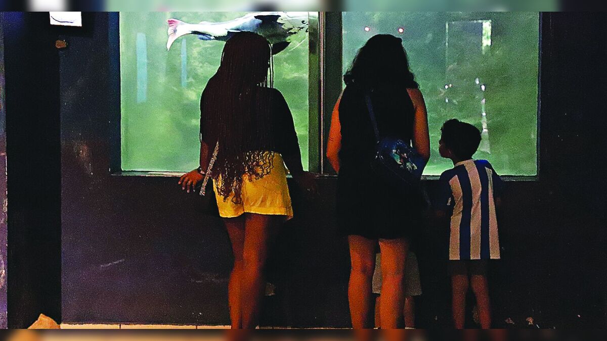 Vai ficar em Belém? Veja locais bacanas para curtir a cidade com a família