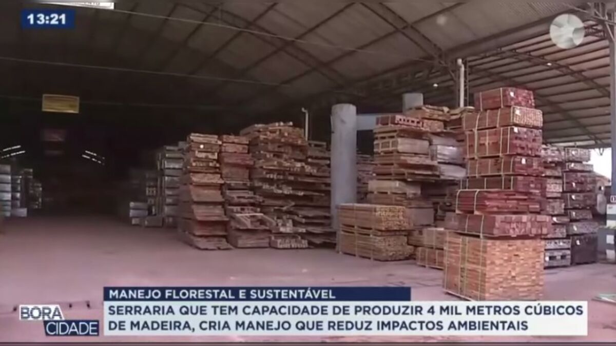 Manejo florestal garante renda e preservação da Amazônia