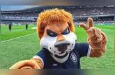 Imagem ilustrativa da notícia Remo se prepara para divulgação de novo patrocinador máster