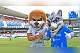 Leão e Papão na Série B