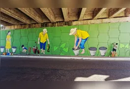 A iniciativa é coordenada pela Secretaria de Viação e Obras Públicas (Sevop) e reúne artistas locais.