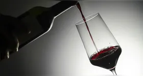 Homens podem beber mais vinho