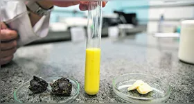 Uma doce solução para cicatrizar nossas feridas