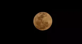 Lua do Veado reflete um ciclo de transformação e evolução.