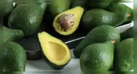 Abacate é mais do que uma simples fruta